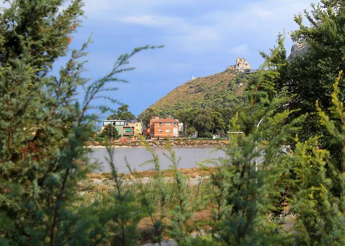 La Tuia E Il Tasso Cagliari