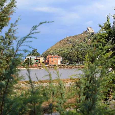 La Tuia E Il Tasso Cagliari